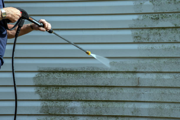 Best Gutter Cleaning  in Lansing, IL