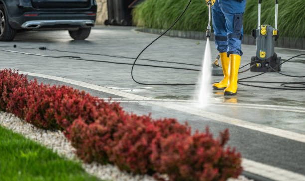 Best Fence Cleaning  in Lansing, IL
